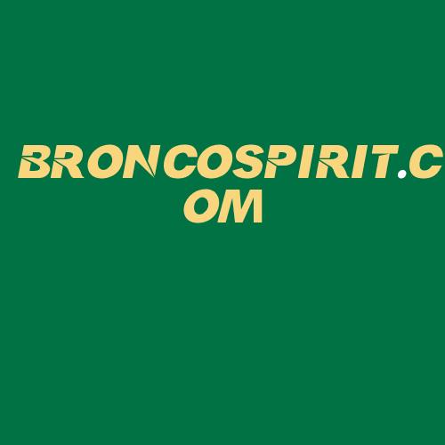 Logo da BRONCOSPIRIT